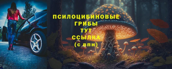 тгк Балабаново