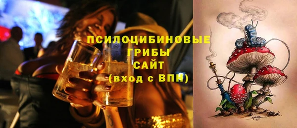 соль ск Балахна