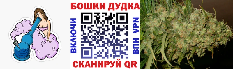 Бошки марихуана сатива Фрязино